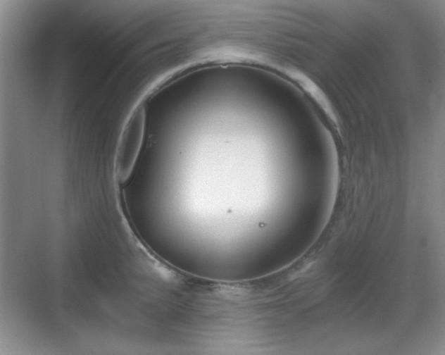 X0000068811191200605081111