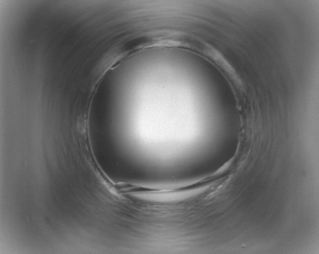 X0000068811193200605081111