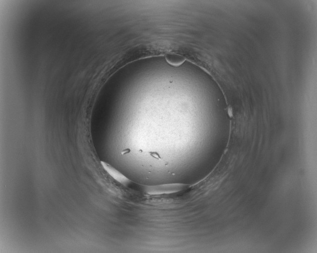 X0000068811201200605081110