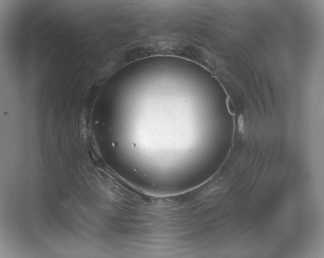 X0000068811203200605081110