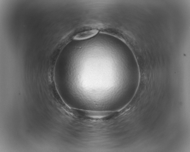 X0000068811205200605081110