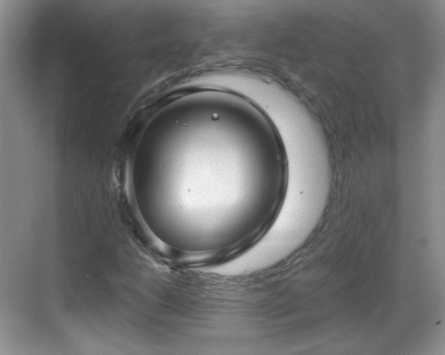 X0000068811206200605081110