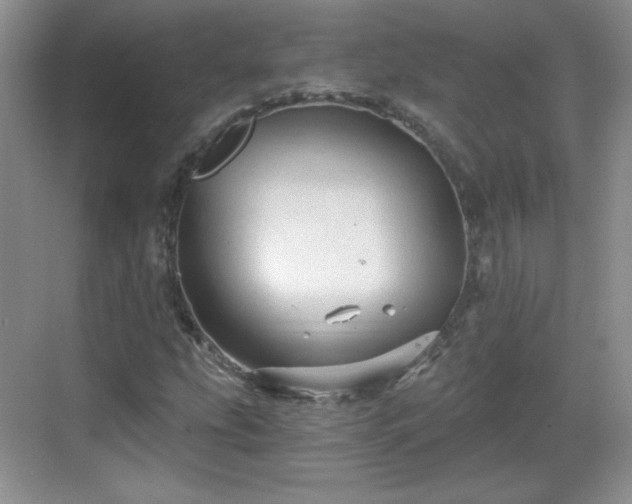 X0000068811207200605081110