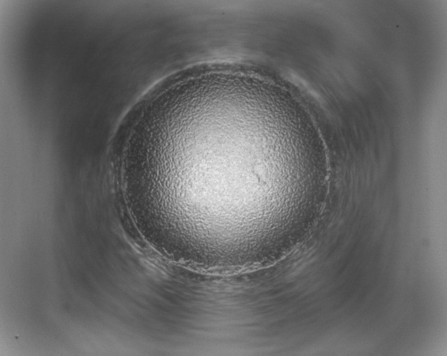 X0000068811208200605081110