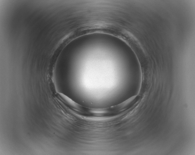 X0000068811210200605081111