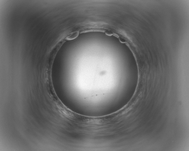 X0000068811211200605081111