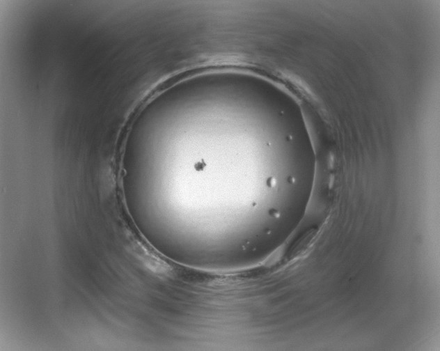 X0000068811212200605081111