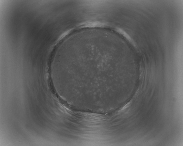 X0000068811213200605081111