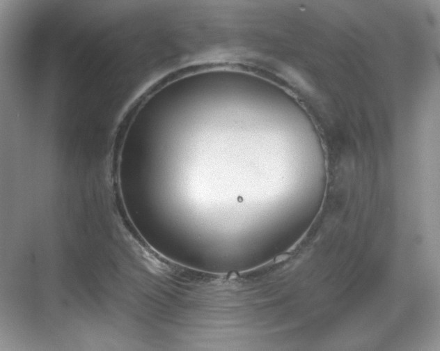 X0000068811216200605081111