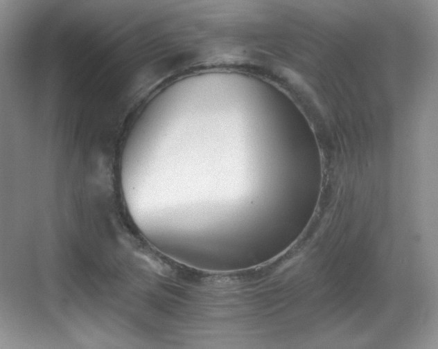 X0000068811217200605081111