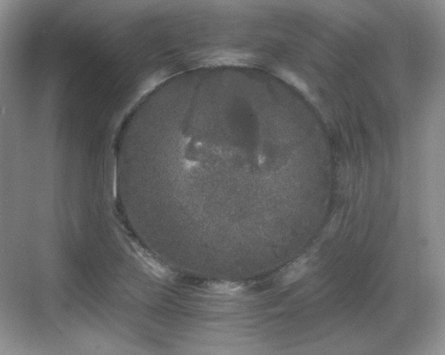 X0000068811219200605081111