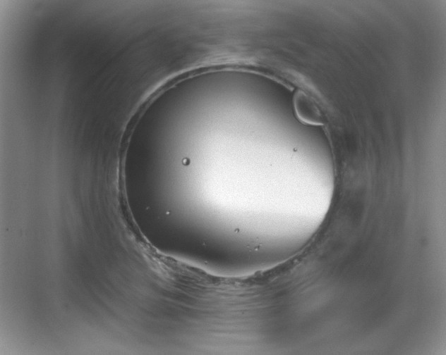 X0000068811220200605081111