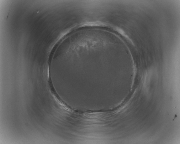 X0000068811221200605081111