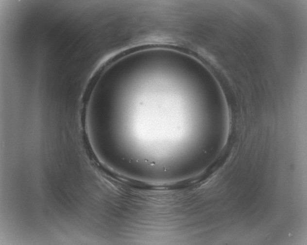 X0000068811222200605081111