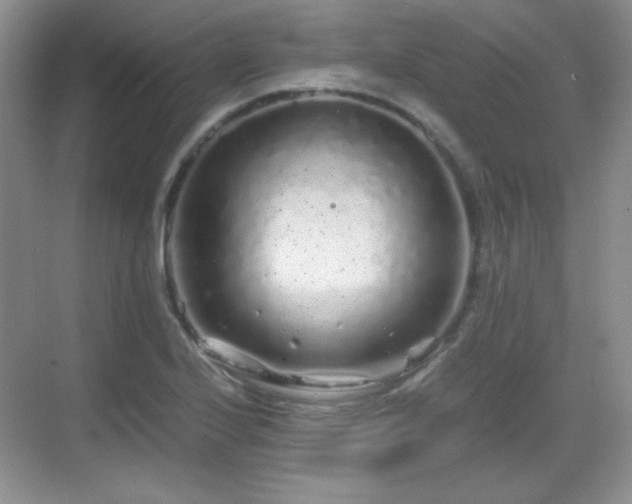 X0000068811224200605081111