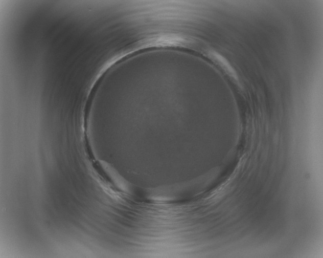 X0000068811226200605081111