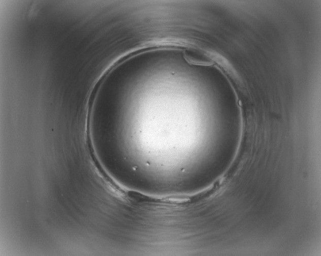 X0000068811228200605081111