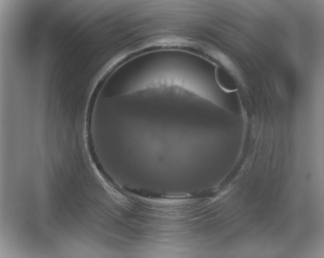 X0000068811229200605081111