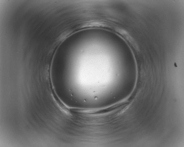 X0000068811233200605081111