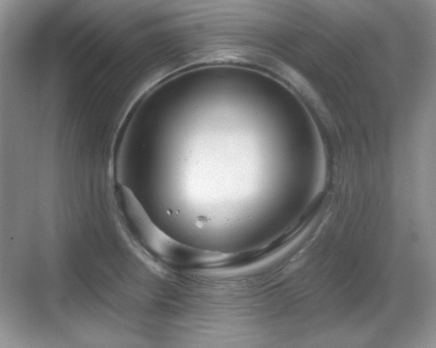 X0000068811234200605081111