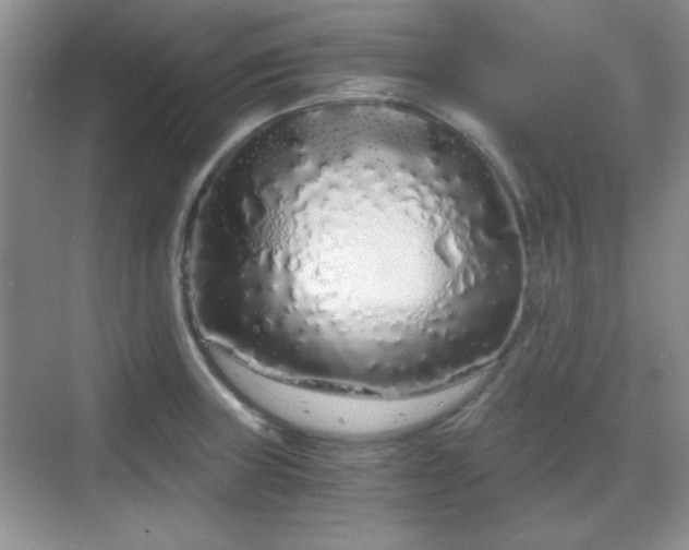 X0000068811235200605081111