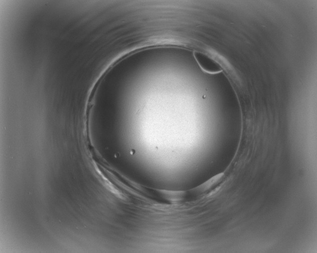 X0000068811236200605081111