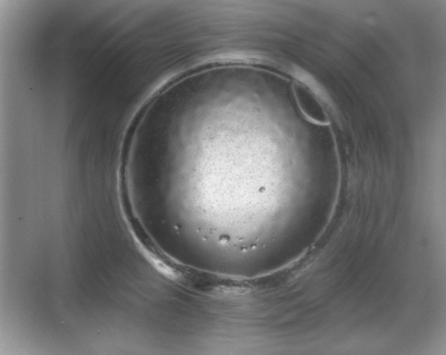 X0000068811237200605081111