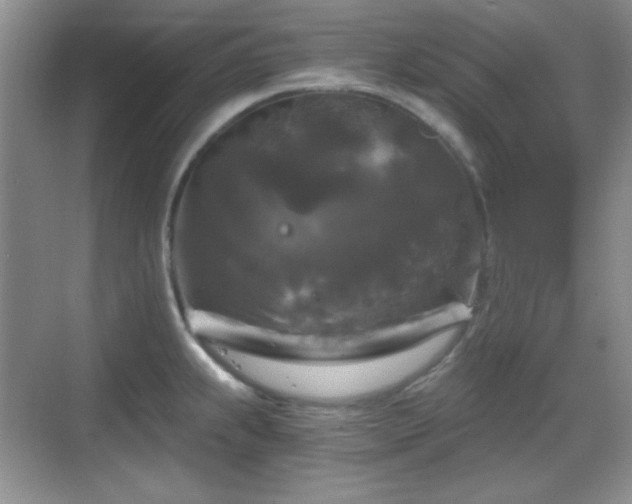 X0000068811239200605081111