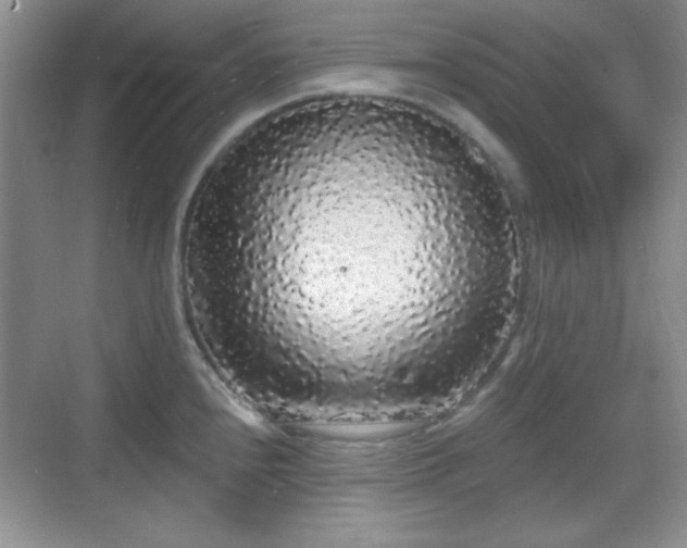 X0000068811240200605081111