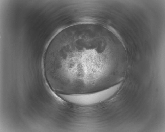 X0000068811243200605081111