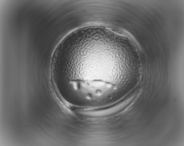 X0000068811244200605081111