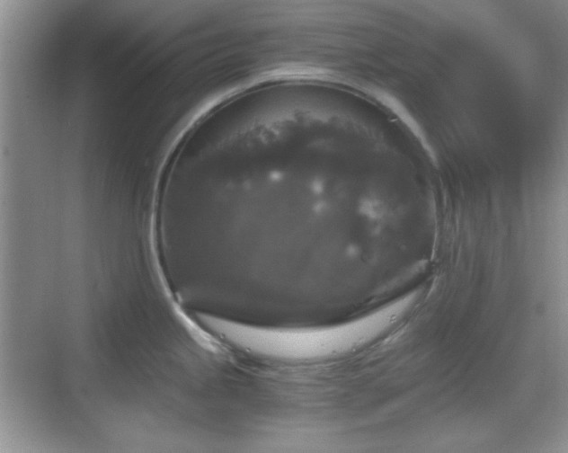 X0000068811245200605081111