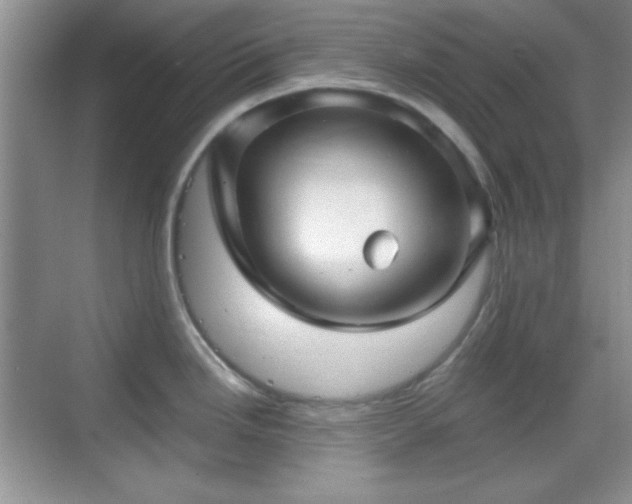 X0000068811246200605081111