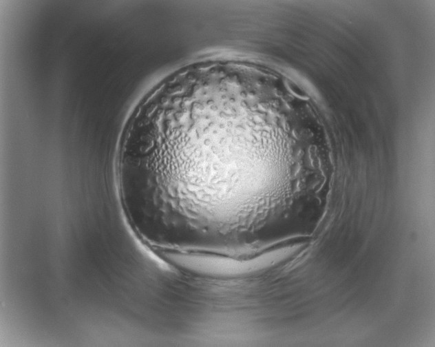 X0000068811247200605081111