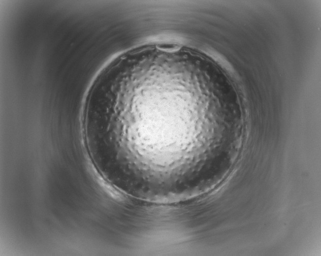 X0000068811248200605081111