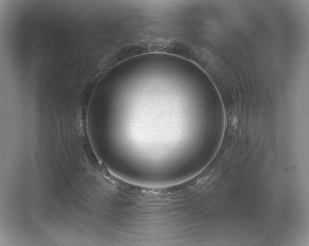 X0000068811252200605081110