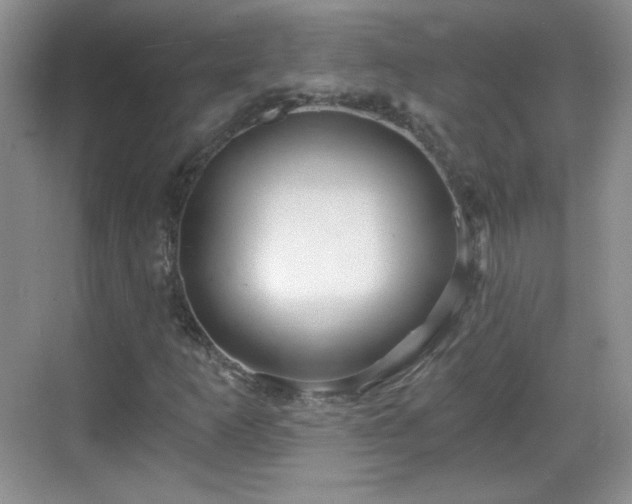 X0000068811253200605081110