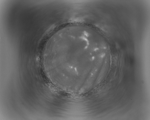 X0000068811254200605081110