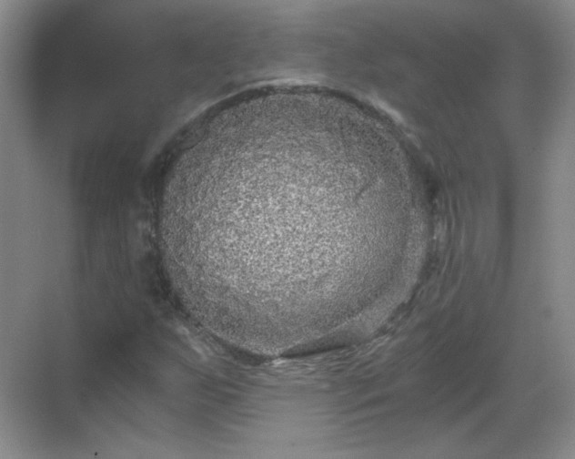 X0000068811255200605081110