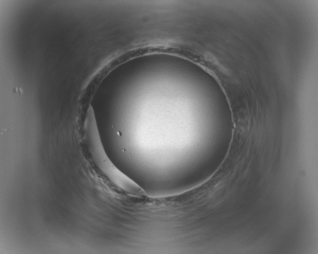 X0000068811256200605081110