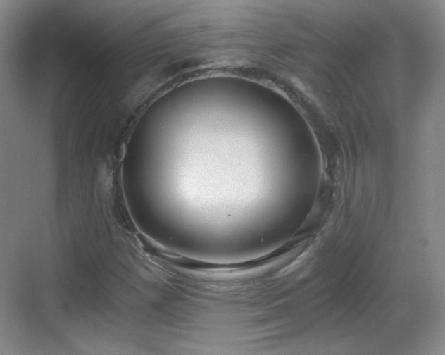 X0000068811257200605081110