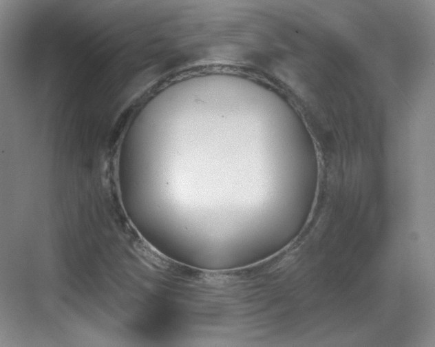 X0000068811258200605081110