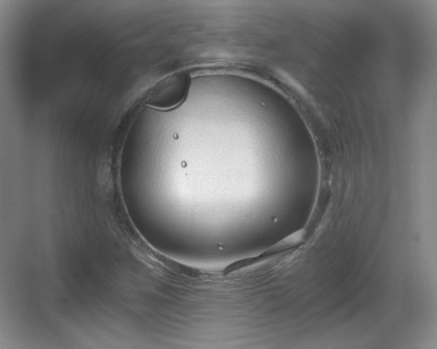 X0000068811259200605081110