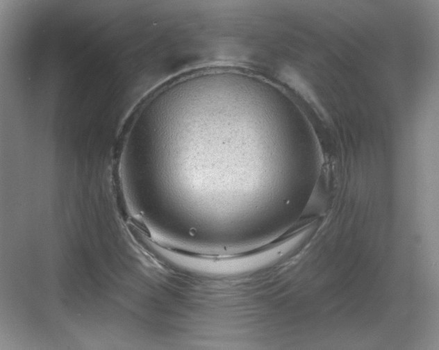 X0000068811260200605081110