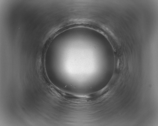 X0000068811261200605081110