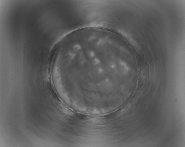 X0000068811262200605081110