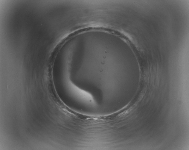 X0000068811263200605081110