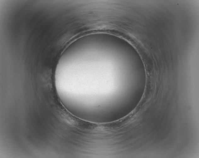 X0000068811265200605081110