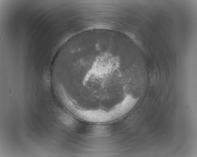 X0000068811266200605081110