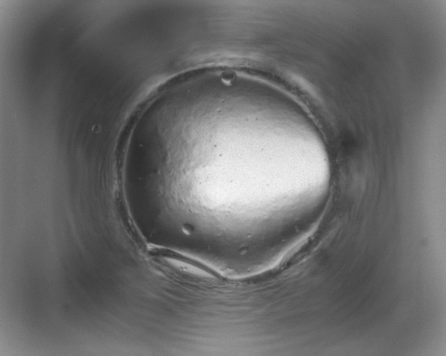 X0000068811267200605081110